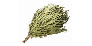 Saunavihta eukalyptys